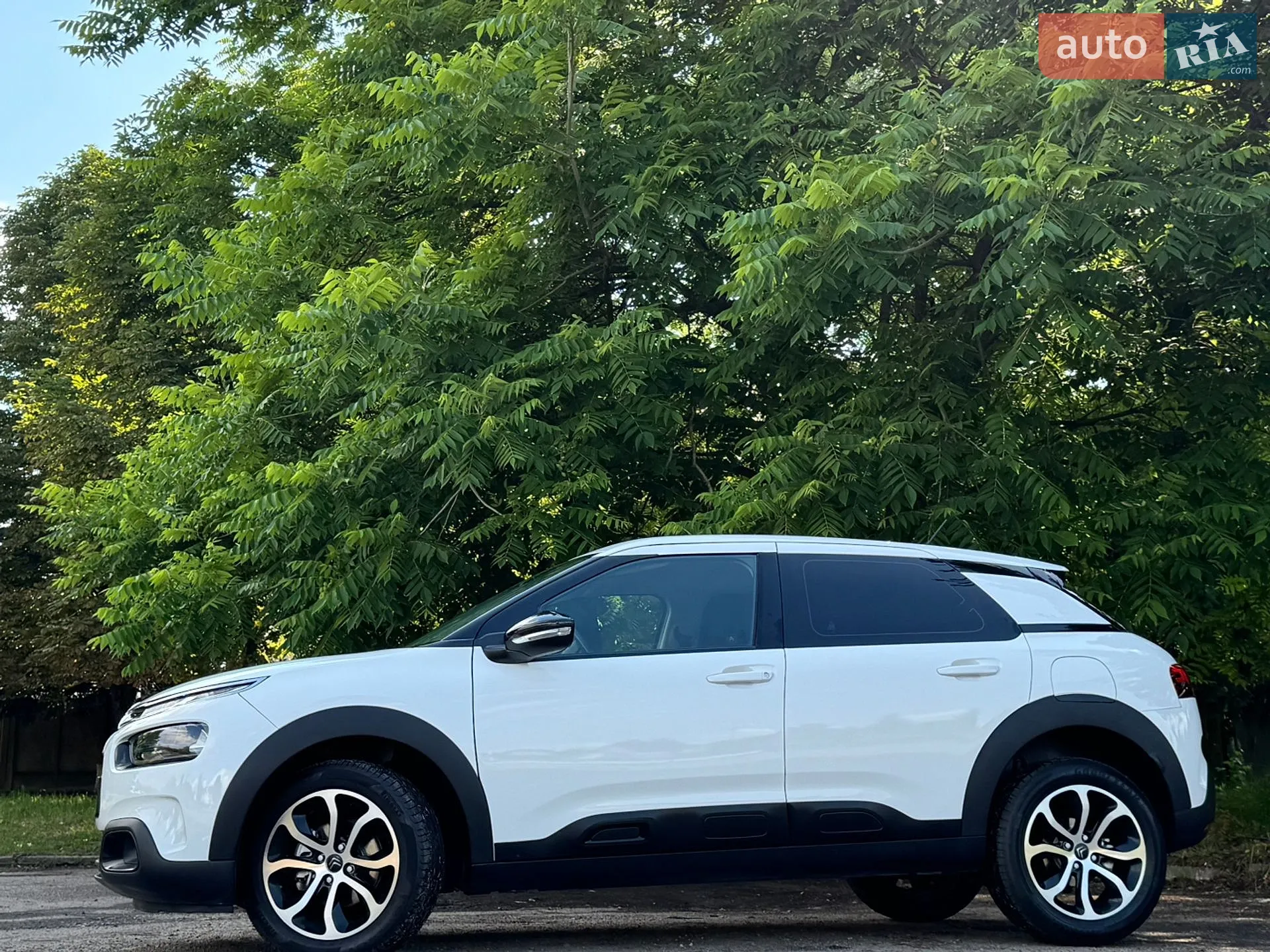 2019 Citroen C4 Cactus - мініатюра 5