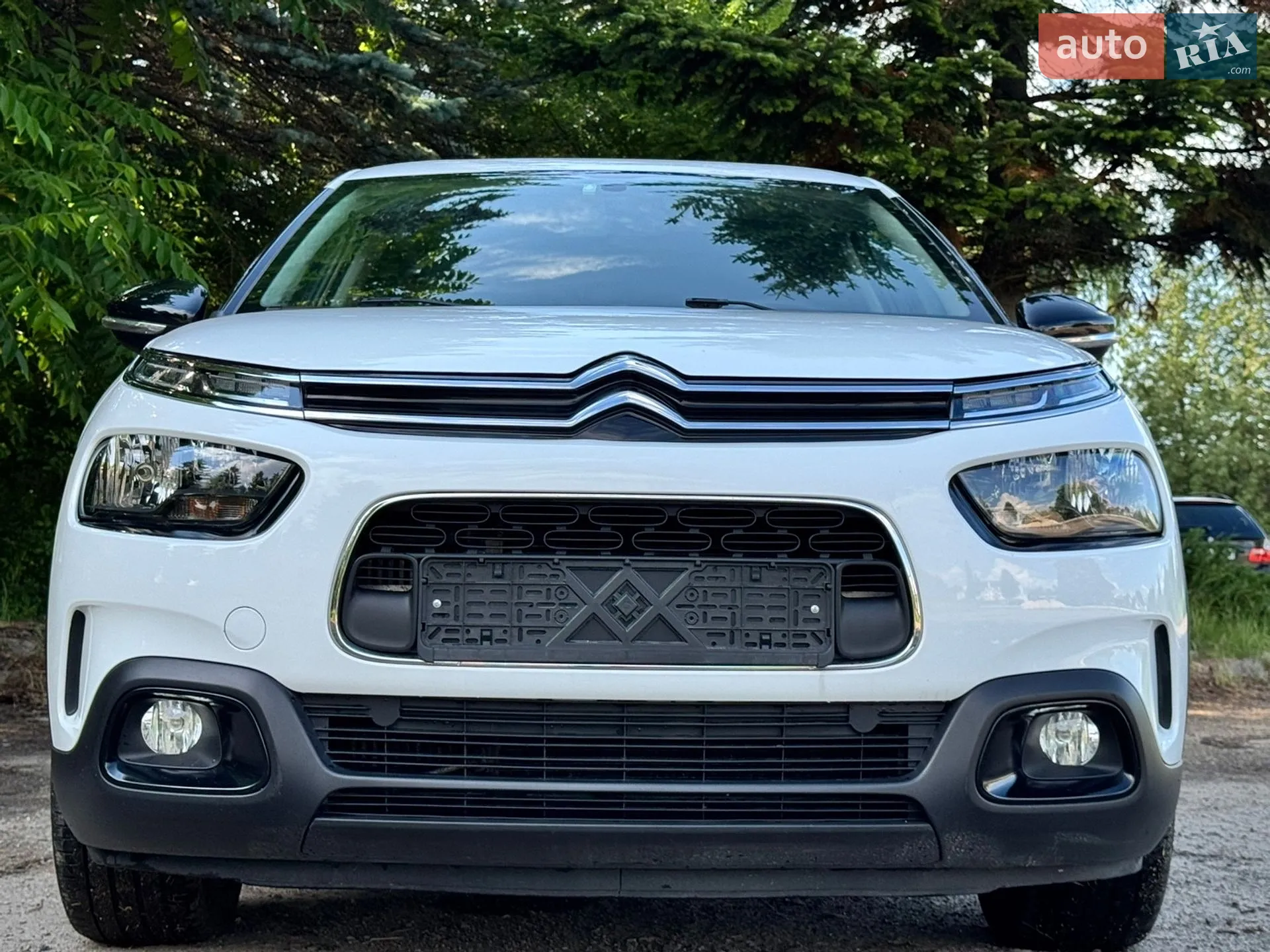 2019 Citroen C4 Cactus - мініатюра 10