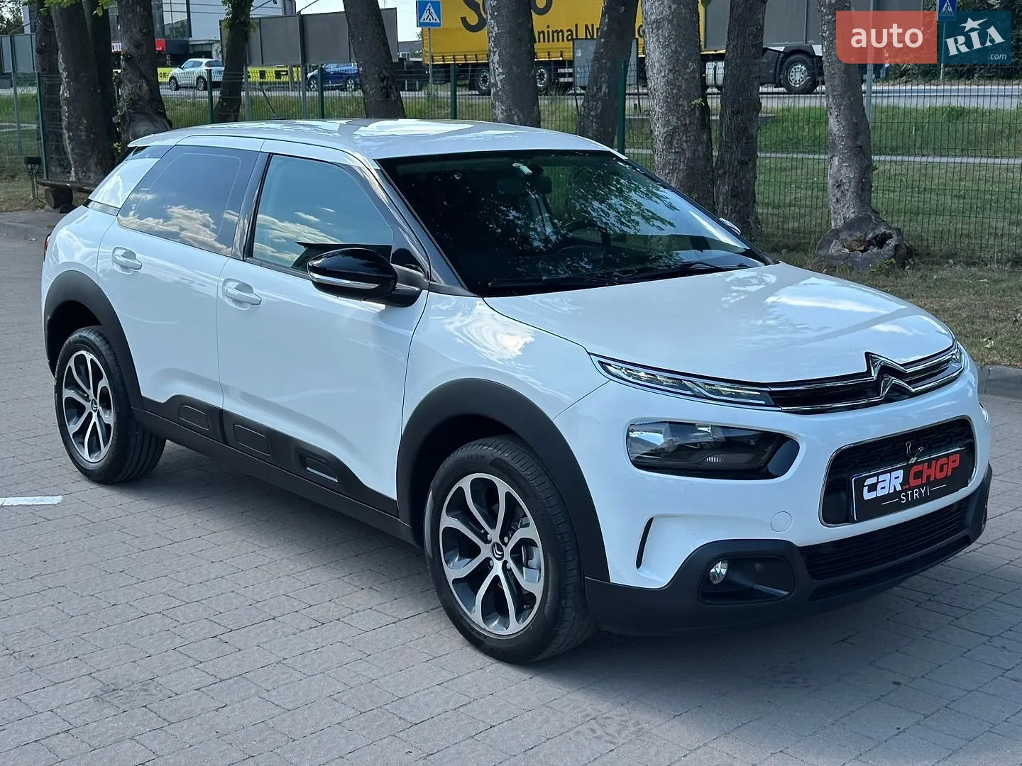 2019 Citroen C4 Cactus - мініатюра 11