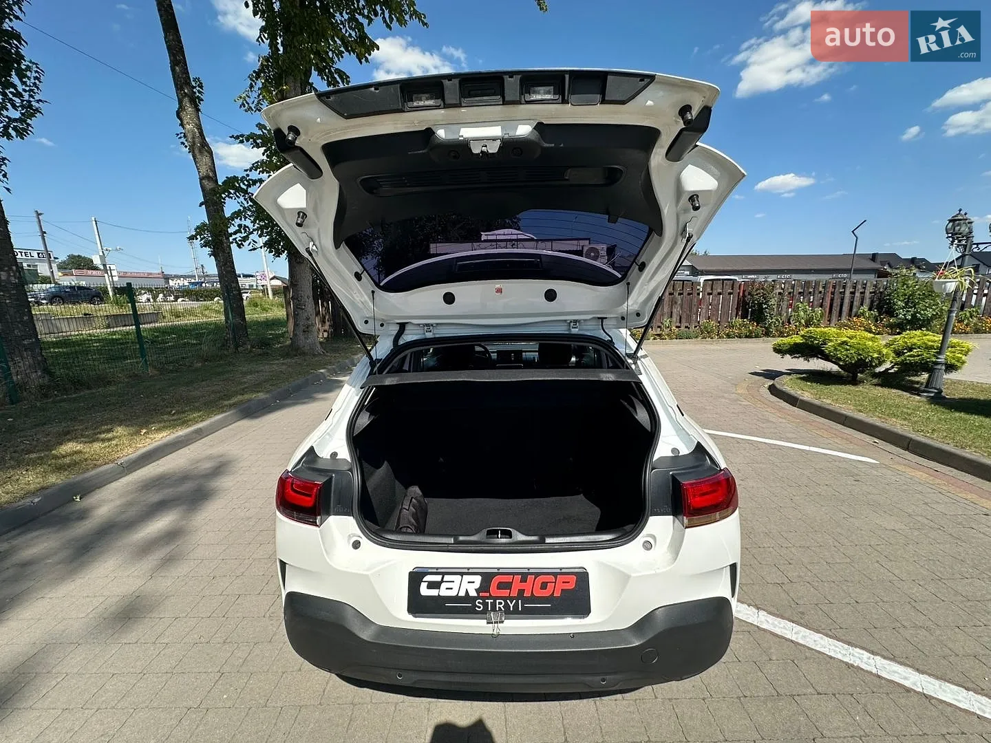 2019 Citroen C4 Cactus - мініатюра 7