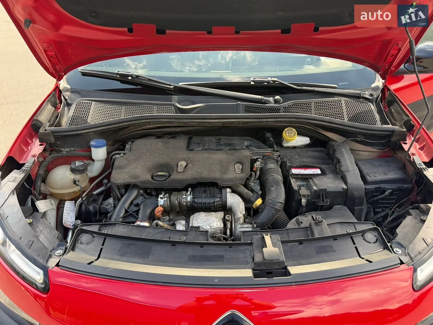 2015 Citroen C4 Cactus - мініатюра 13