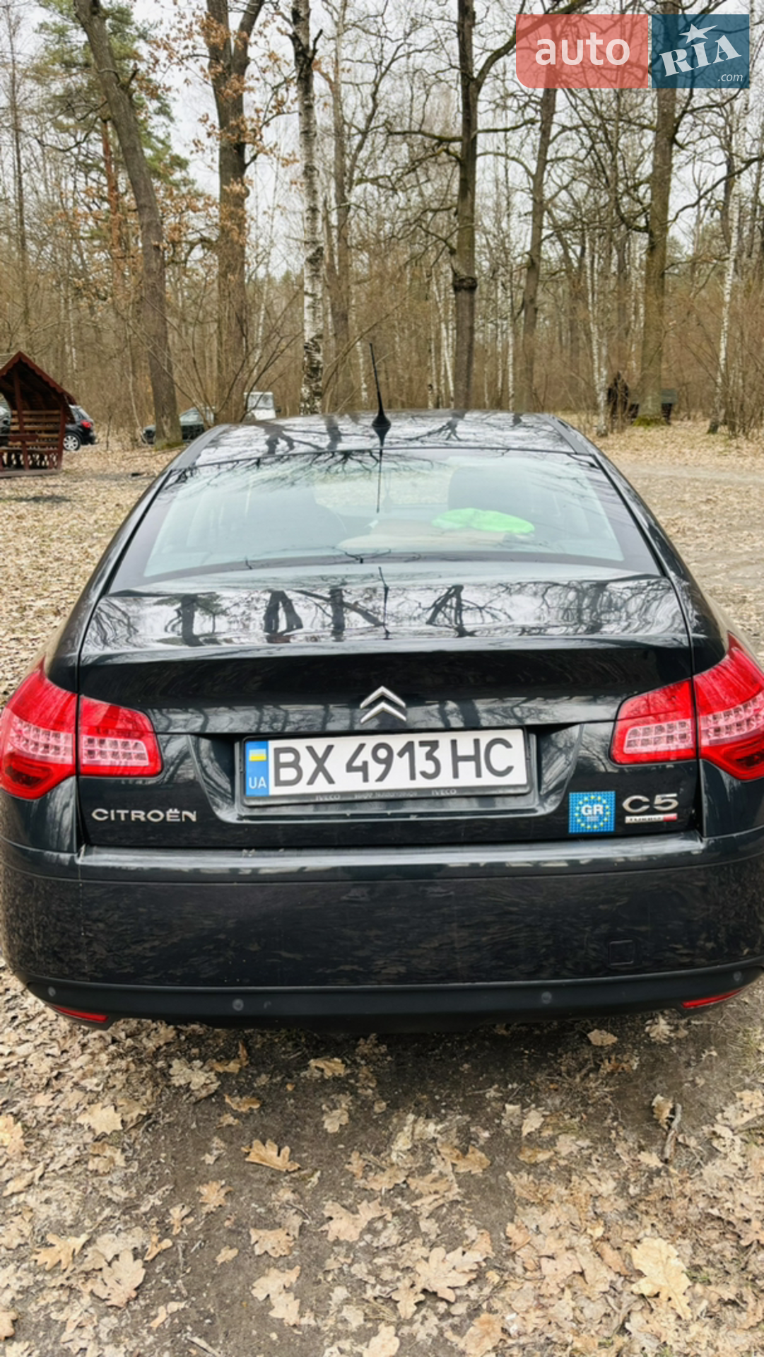 2010 Citroen C5 - мініатюра 5