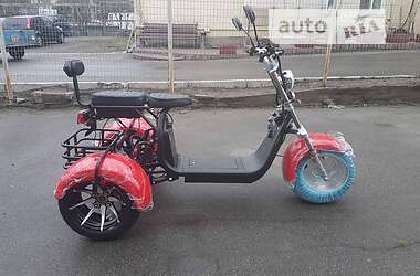 Трайк Citycoco Ride 2023 в 