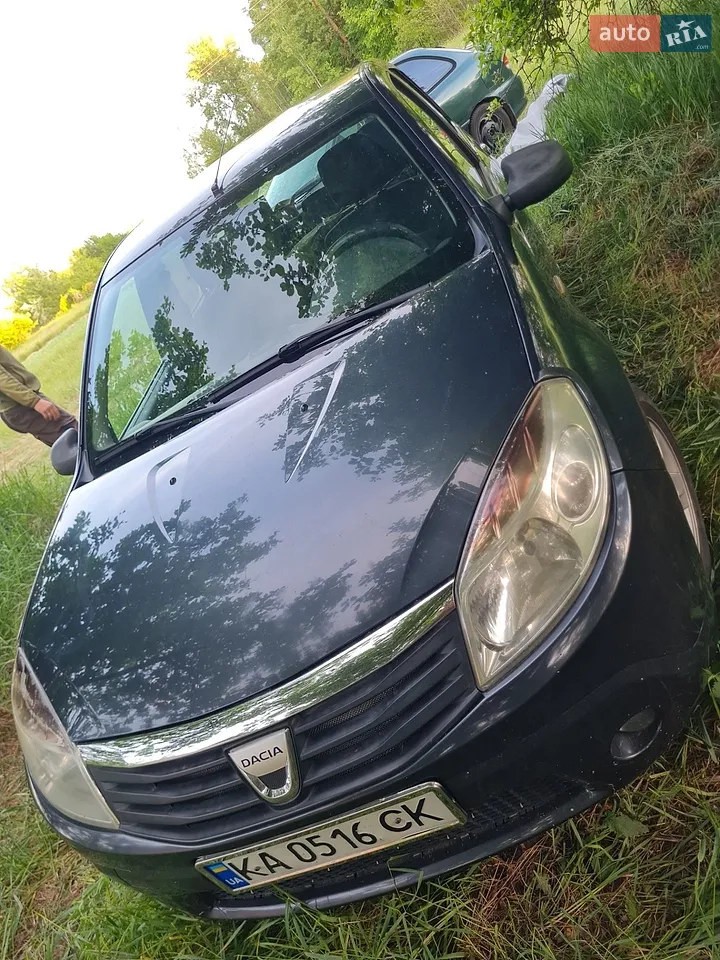 2010 Dacia Sandero - мініатюра 19