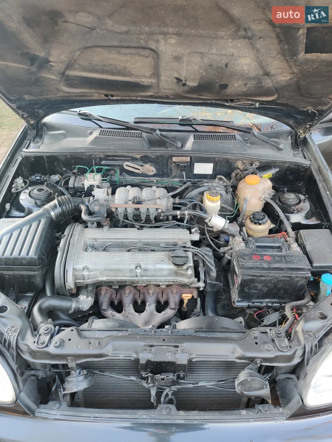 Daewoo Lanos 2008 VIN Y6DTF696D8W405609 фото оголошення 13 з 13