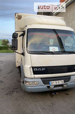 Грузопассажирский фургон DAF 45 2004 в 