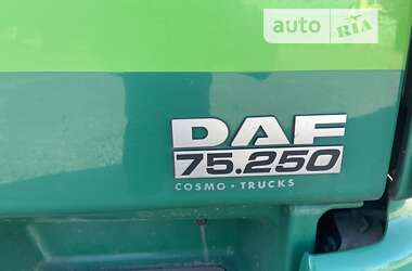 Самоскид DAF CF 2009 в Любарі