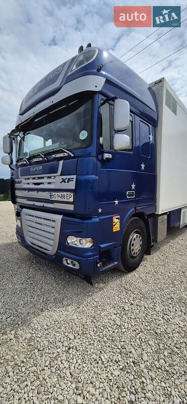 Рефрижератор DAF XF 105 2007 в Тернополі