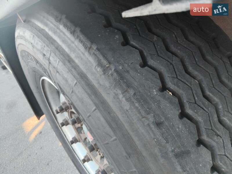 Другие грузовики DAF XF 95.480 2004 в Днепре