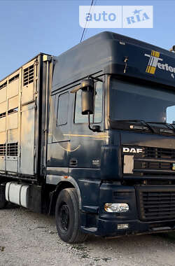 Для перевозки животных DAF XF 95 2005 в Черновцах