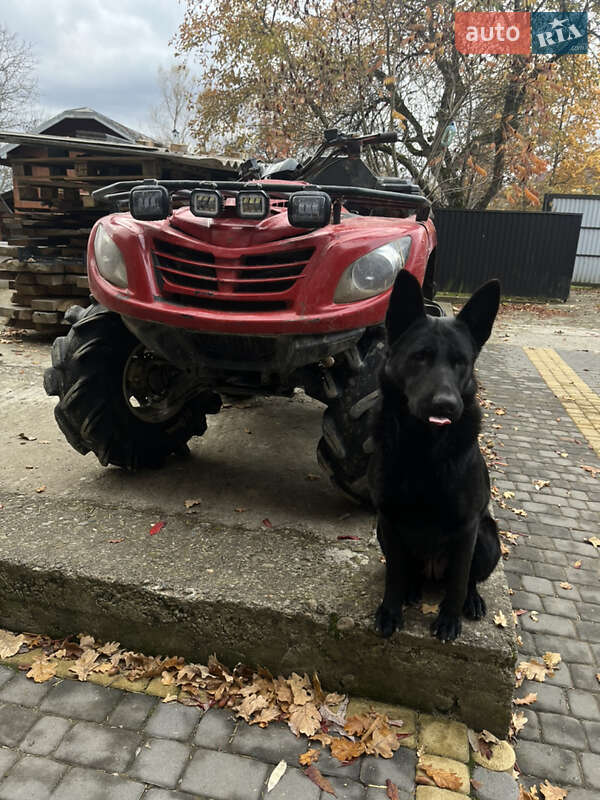 Квадроцикл  утилитарный DINLI T-Rex 2007 в Косове