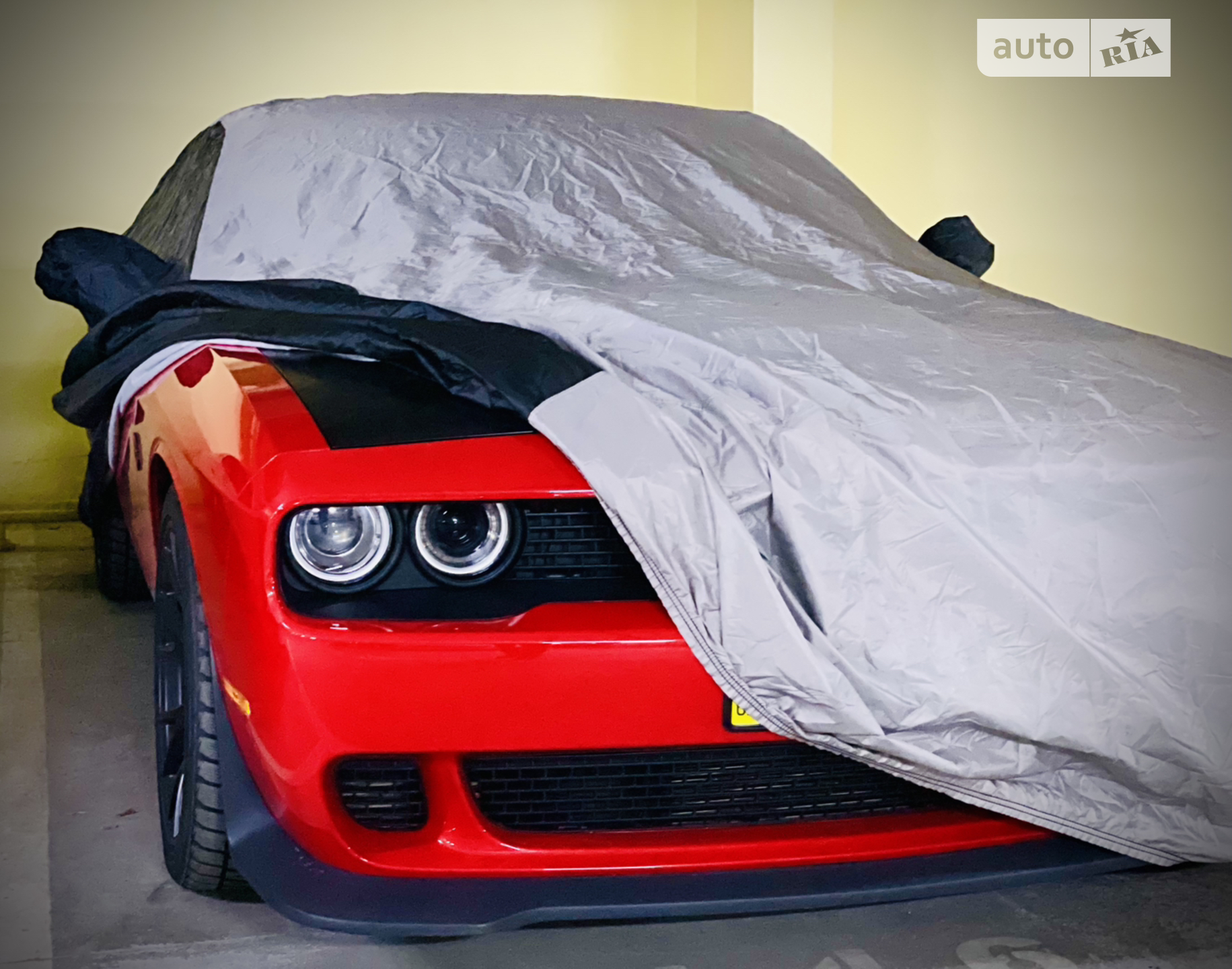 2016 Dodge Challenger - мініатюра 19