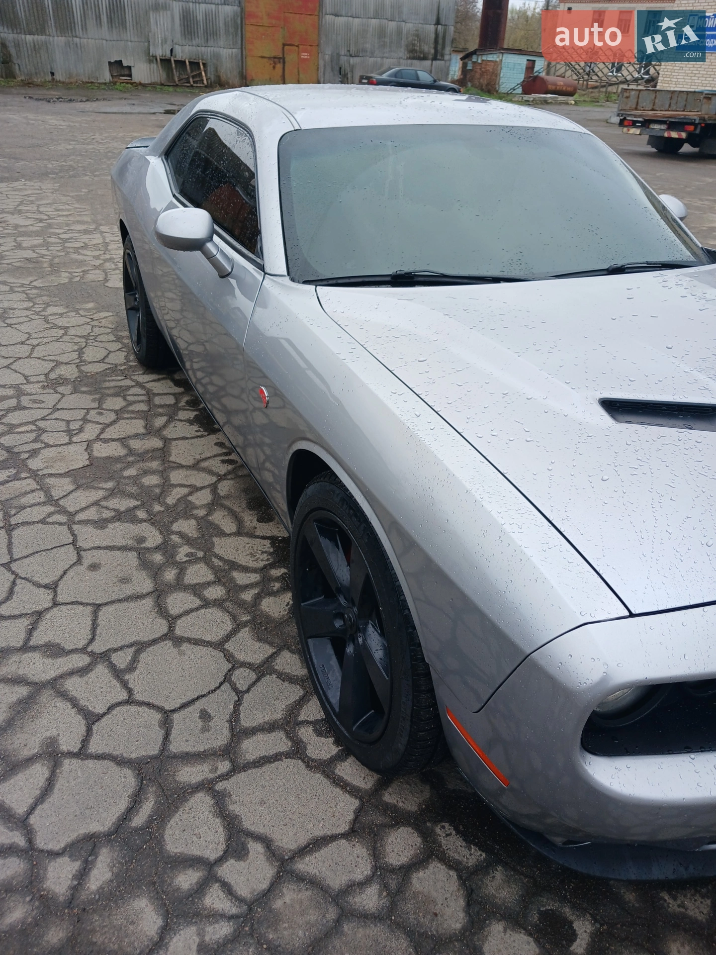 2016 Dodge Challenger - мініатюра 4
