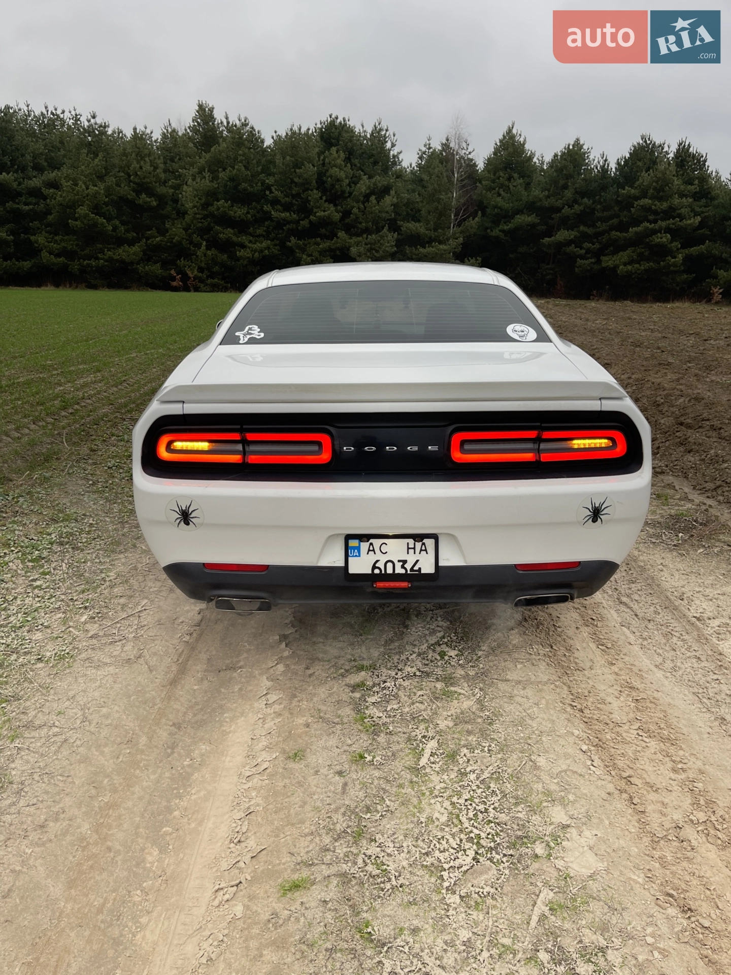 2016 Dodge Challenger - мініатюра 4