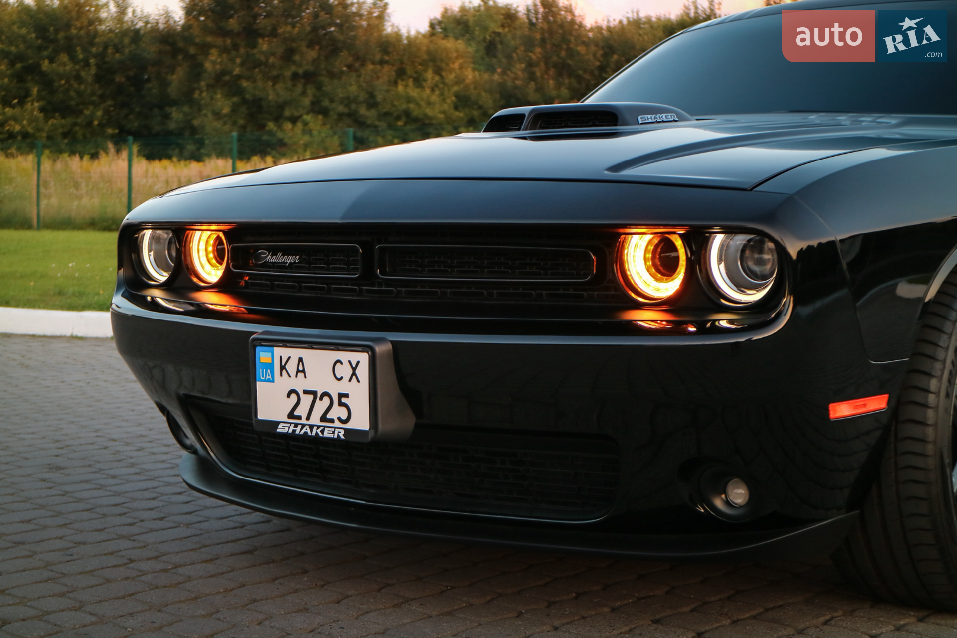 2015 Dodge Challenger - мініатюра 4
