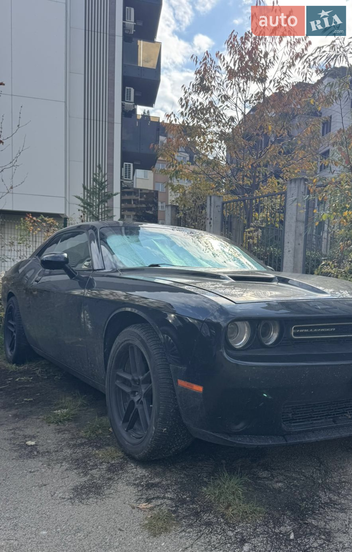 2014 Dodge Challenger - мініатюра 12