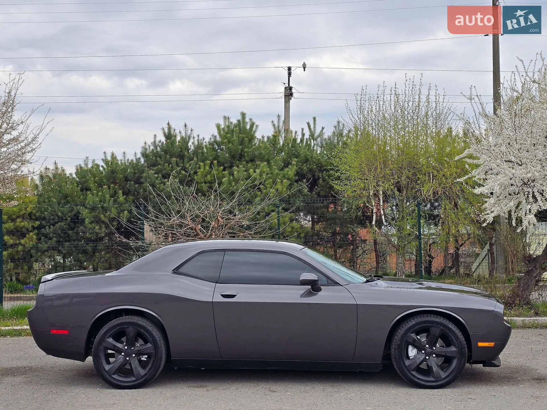 2014 Dodge Challenger - мініатюра 22