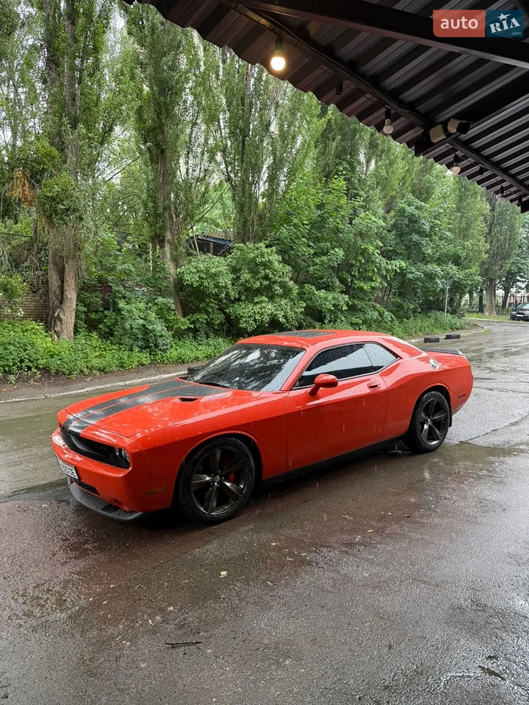 2010 Dodge Challenger - мініатюра 44