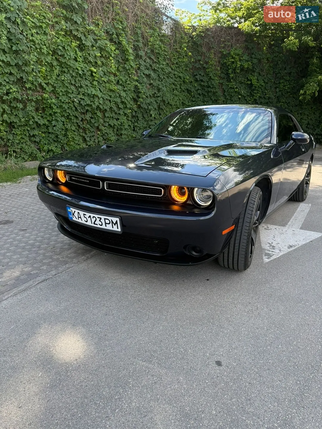 2016 Dodge Challenger - мініатюра 2