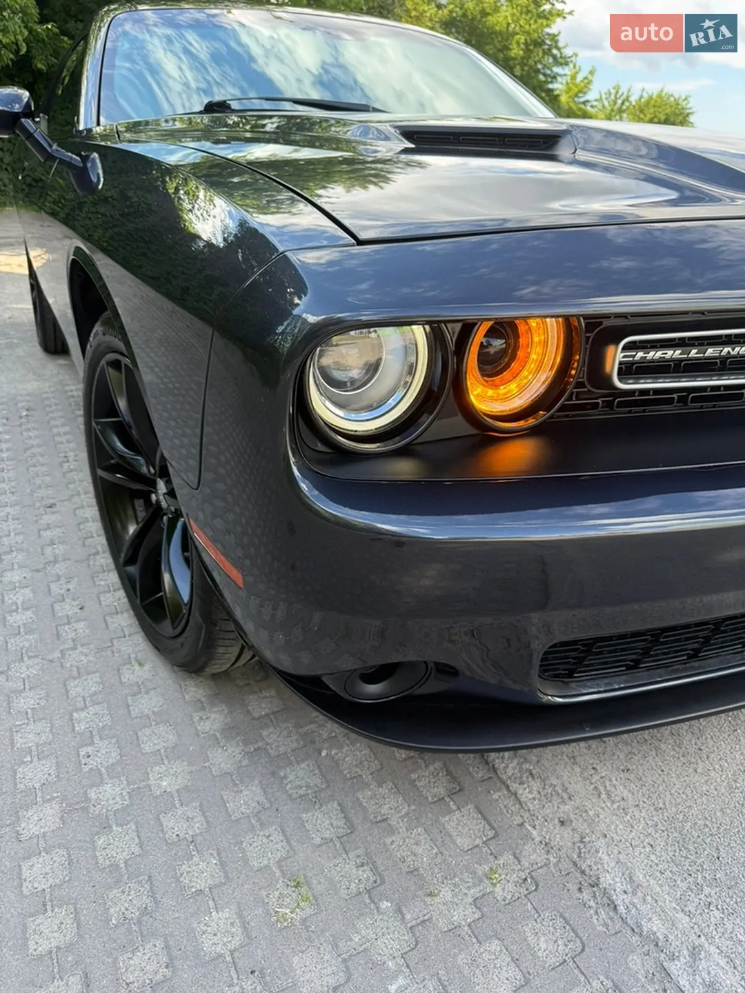 2016 Dodge Challenger - мініатюра 21