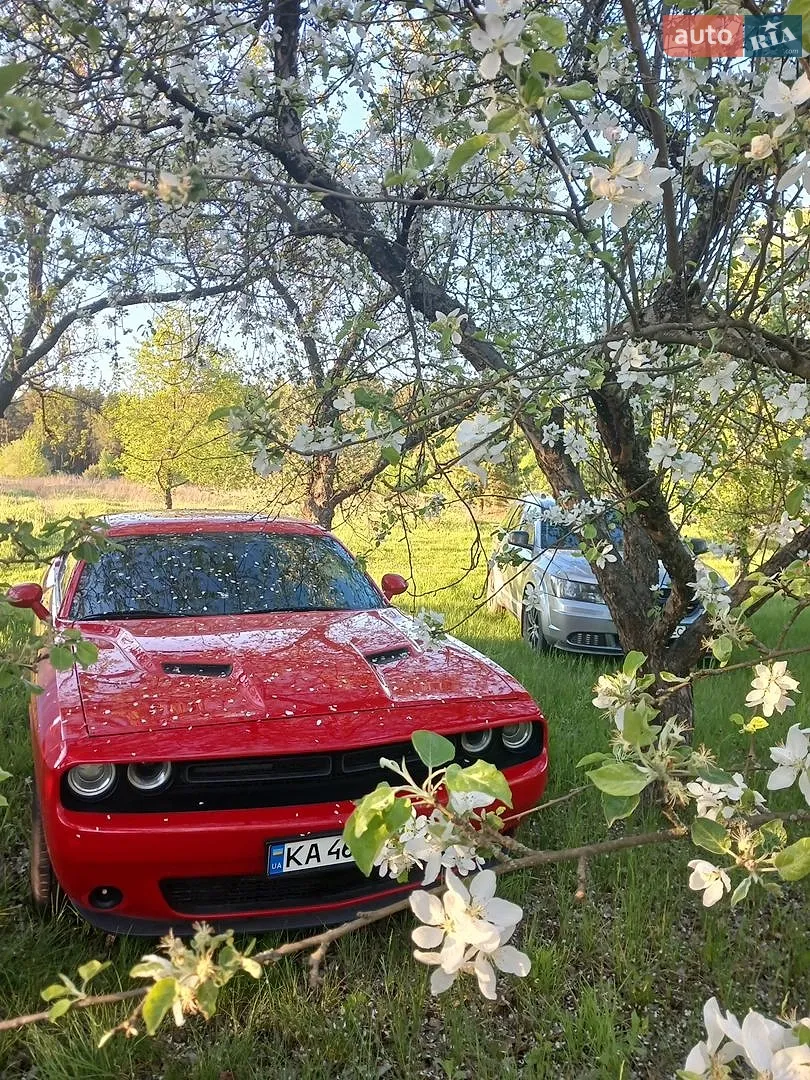2015 Dodge Challenger - мініатюра 12