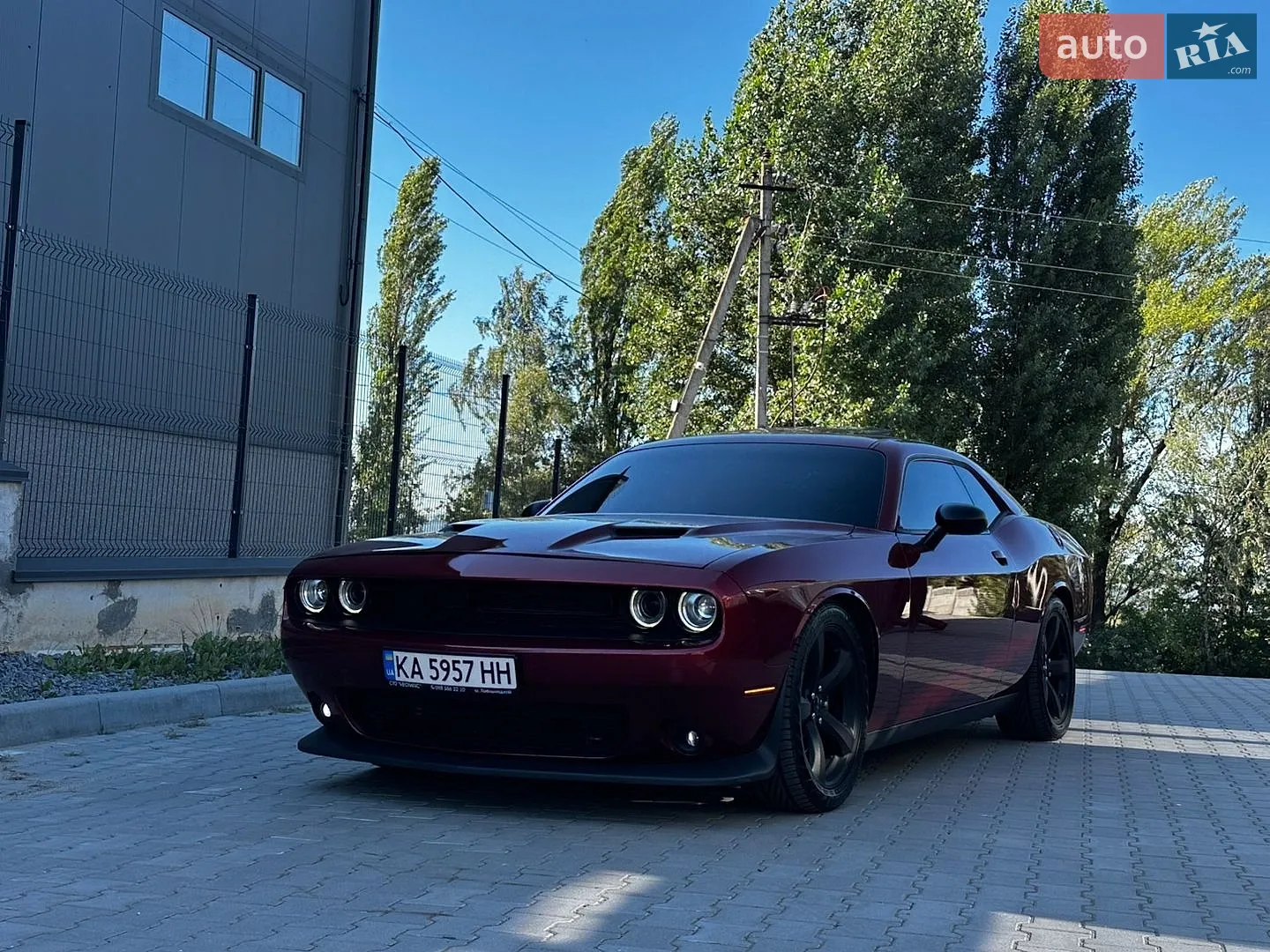 2014 Dodge Challenger - мініатюра 6