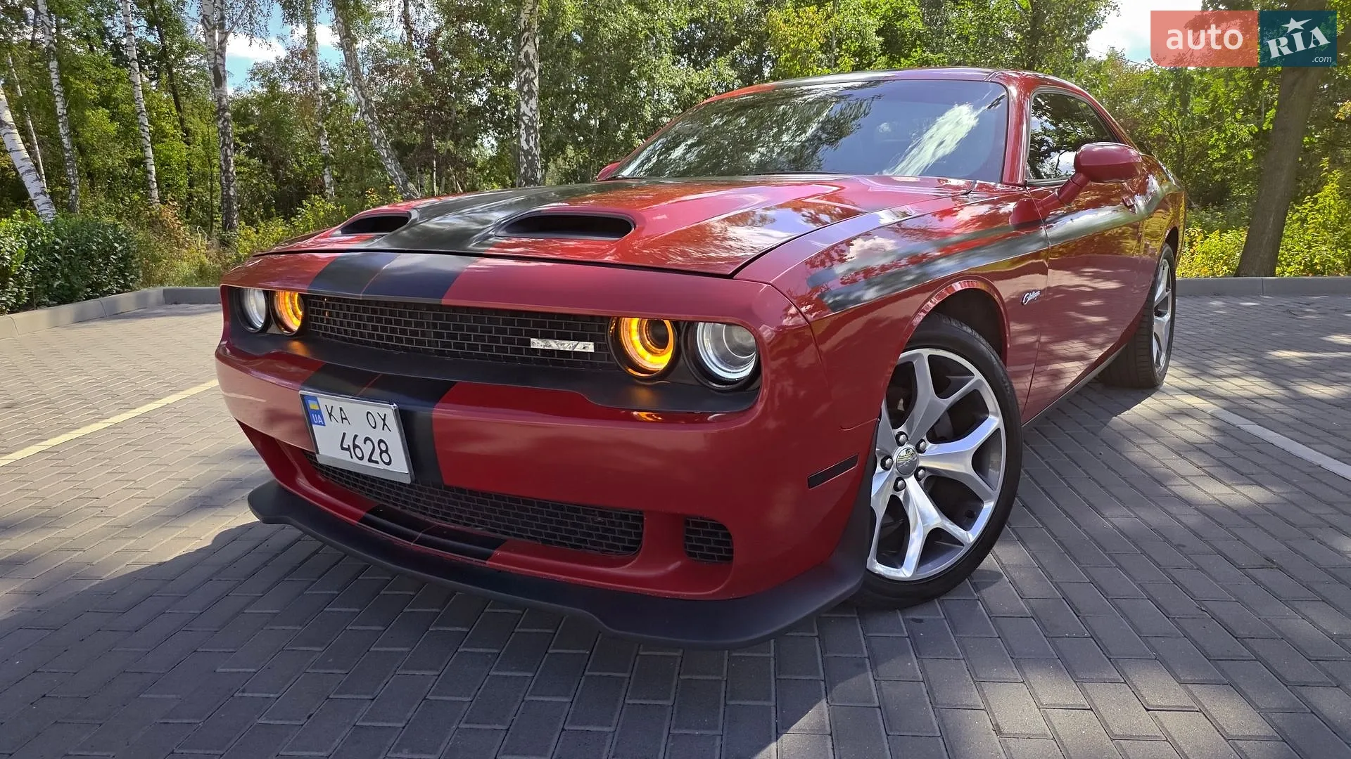 2016 Dodge Challenger - мініатюра 27