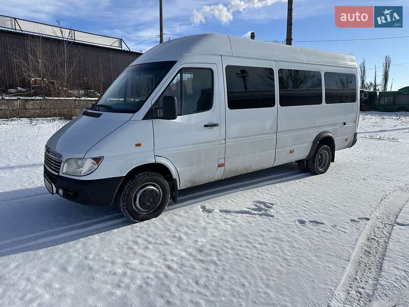 Мікроавтобус Dodge Sprinter 2002 в Кривому Розі