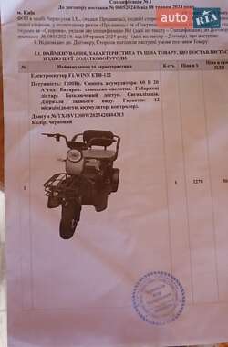 Трицикл Elwinn Ant 2024 в 