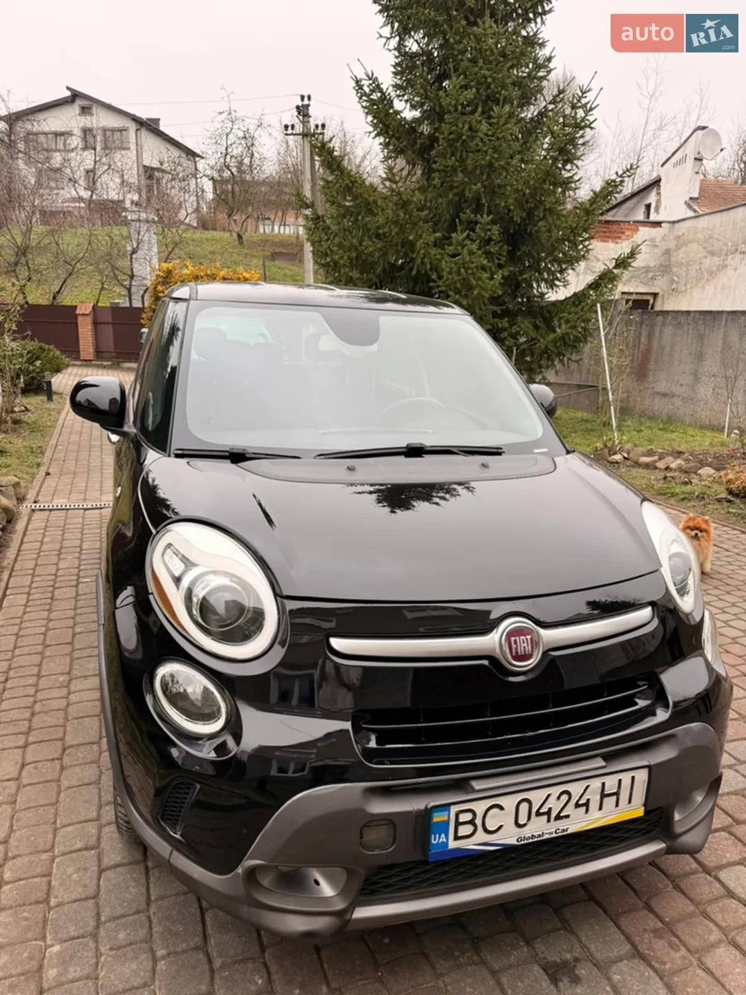 2013 Fiat 500L - мініатюра 5
