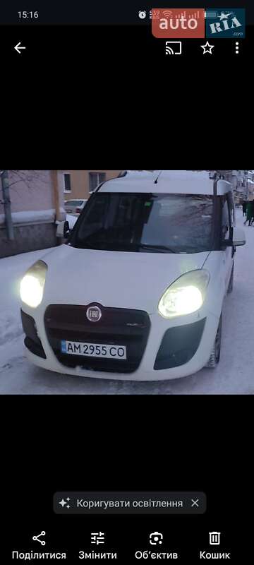 Минивэн Fiat Doblo 2010 в Житомире