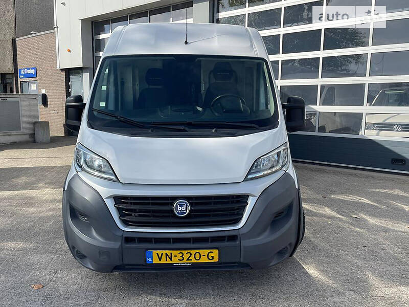 Гомельден келген жалаңаш қыздар