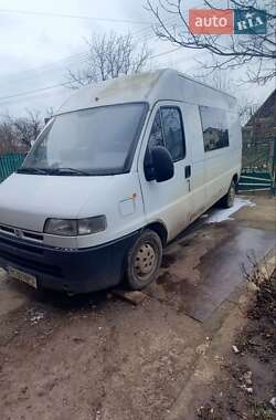 Другие автобусы Fiat Ducato 2001 в Самборе