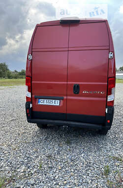 Грузопассажирский фургон Fiat Ducato 2008 в 