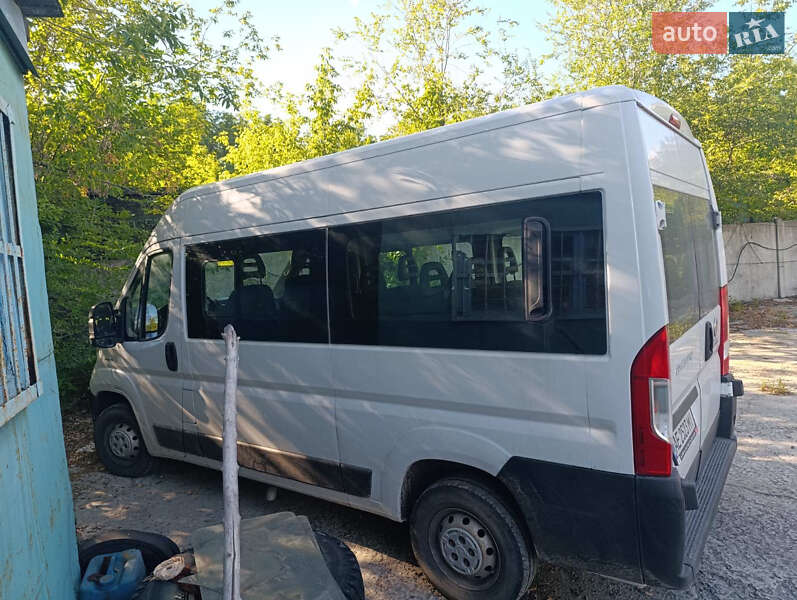 Микроавтобус Fiat Ducato 2019 в Днепре