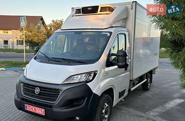 Рефрижератор Fiat Ducato 2020 в 
