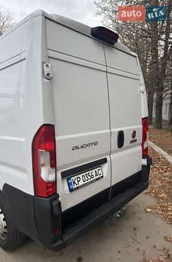 Вантажний фургон Fiat Ducato 2020 в 