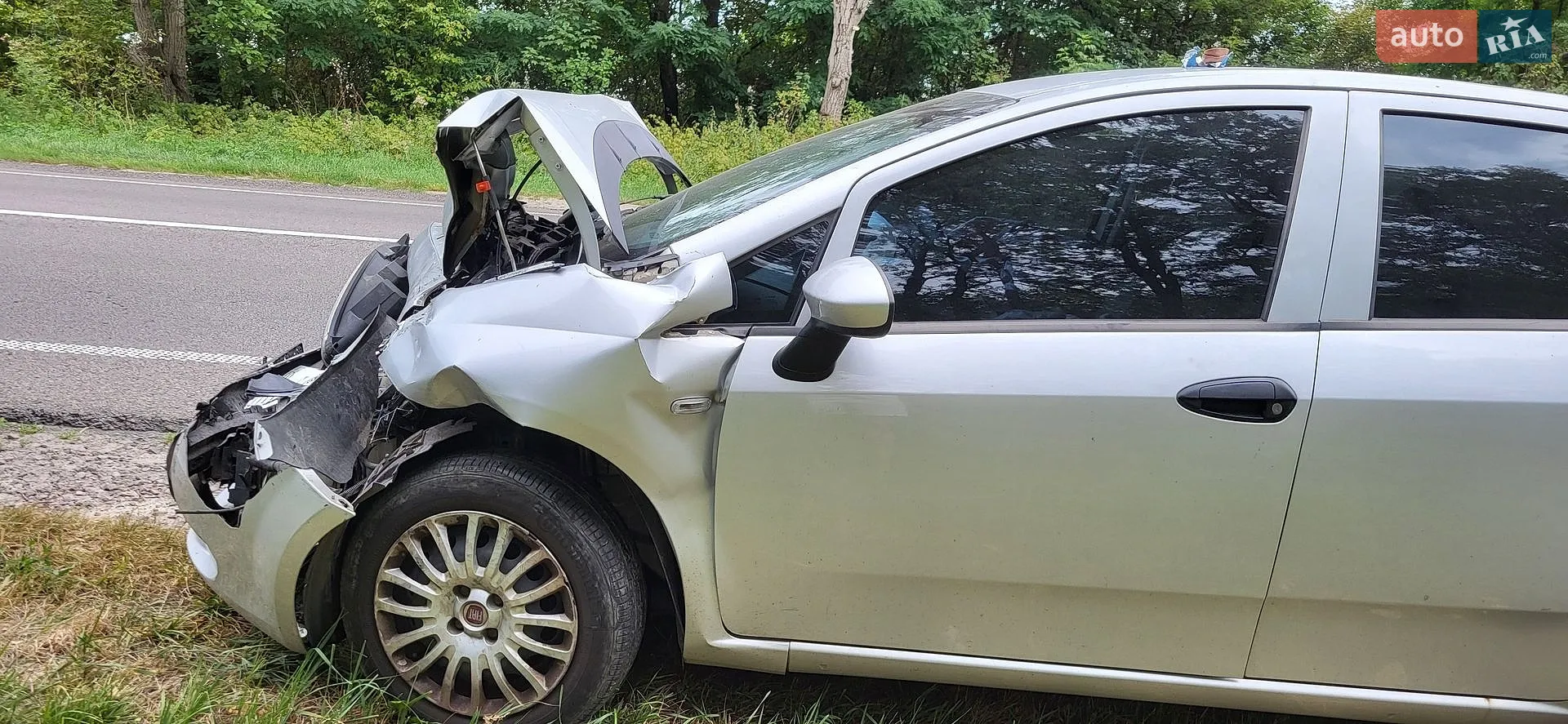 2010 Fiat Punto - мініатюра 2