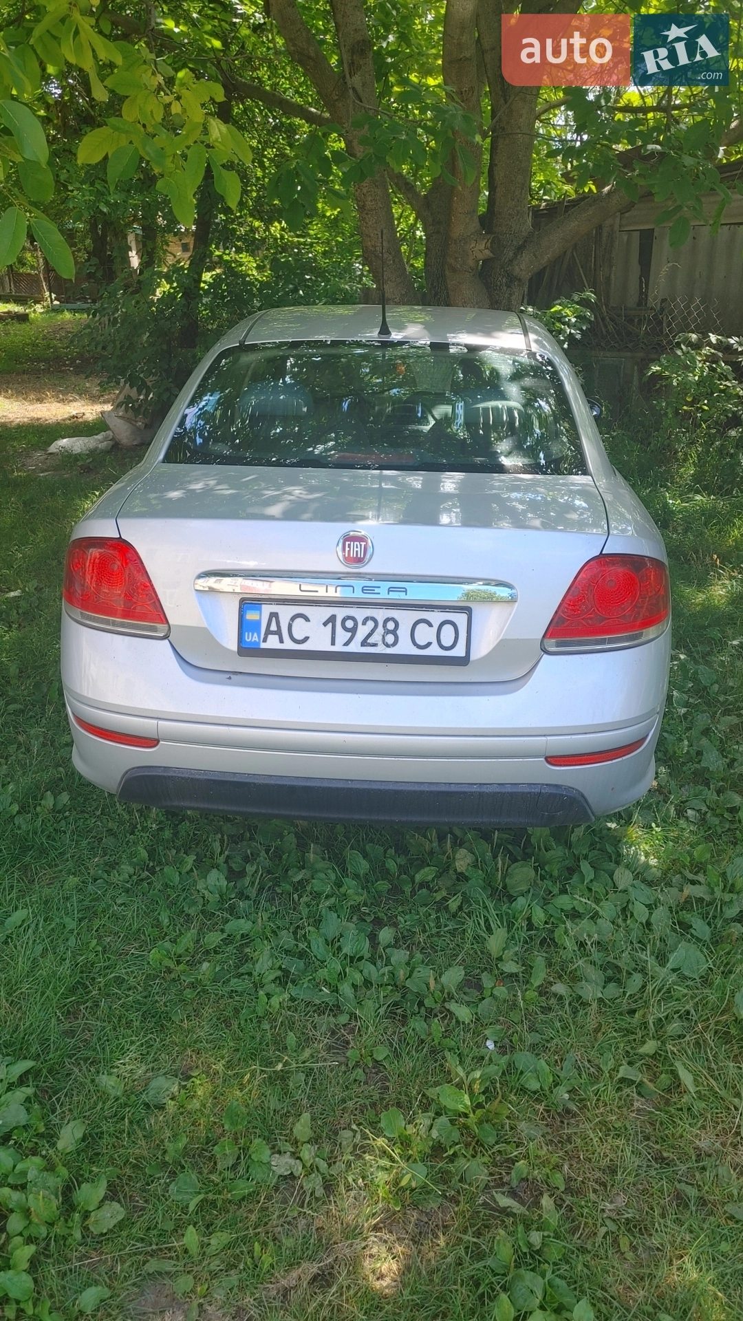 2013 Fiat Linea - мініатюра 4