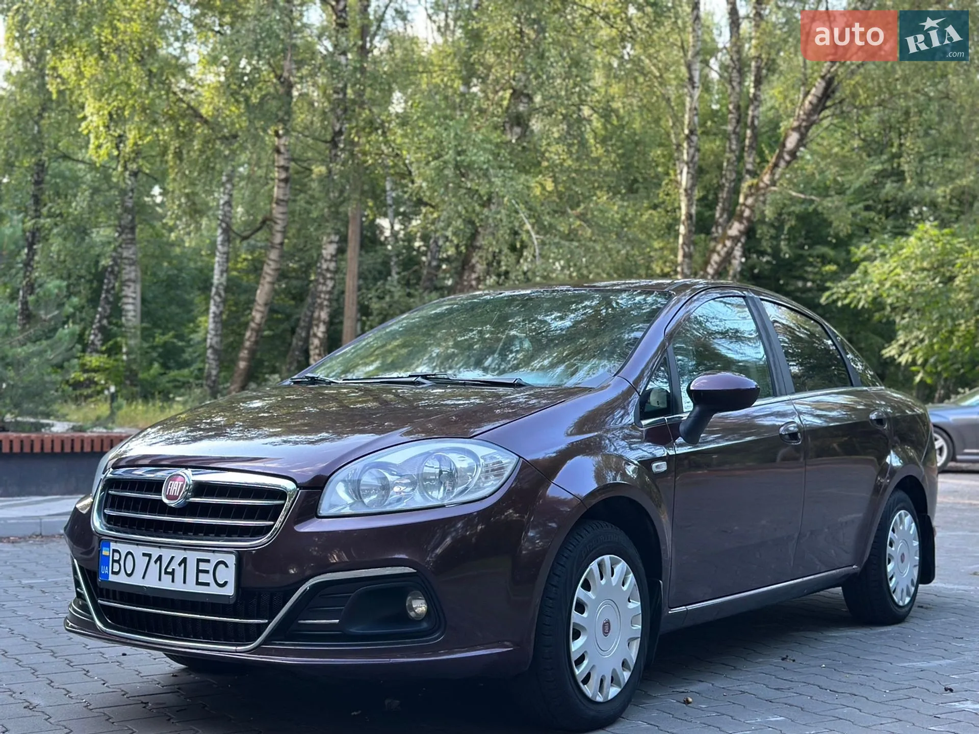 2013 Fiat Linea - мініатюра 3
