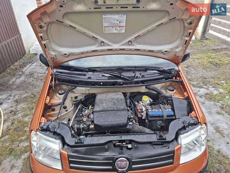 Хетчбек Fiat Panda 2009 в Дрогобичі