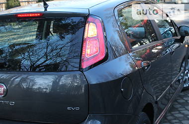 Хэтчбек Fiat Punto 2010 в Дрогобыче