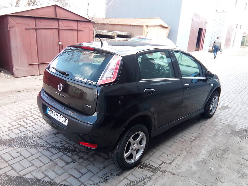 Хэтчбек Fiat Punto 2011 в Житомире