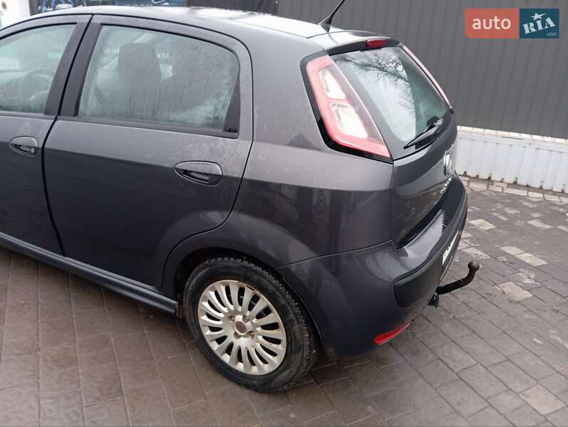 Хетчбек Fiat Punto 2010 в Городенці