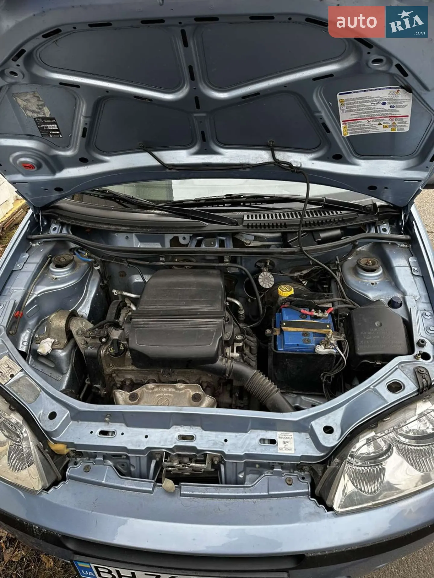 2010 Fiat Punto - мініатюра 2