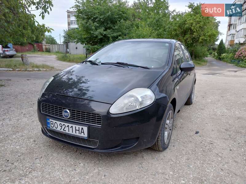 Хетчбек Fiat Punto 2007 в 