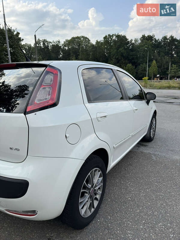 Хэтчбек Fiat Punto 2011 в Житомире фото 33 Хэтчбек Fiat Punto 2011 в Житомире