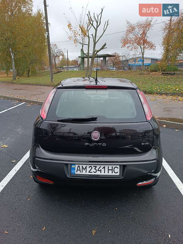 Хетчбек Fiat Punto 2011 в Житомирі фото 5 Хетчбек Fiat Punto 2011 в Житомирі