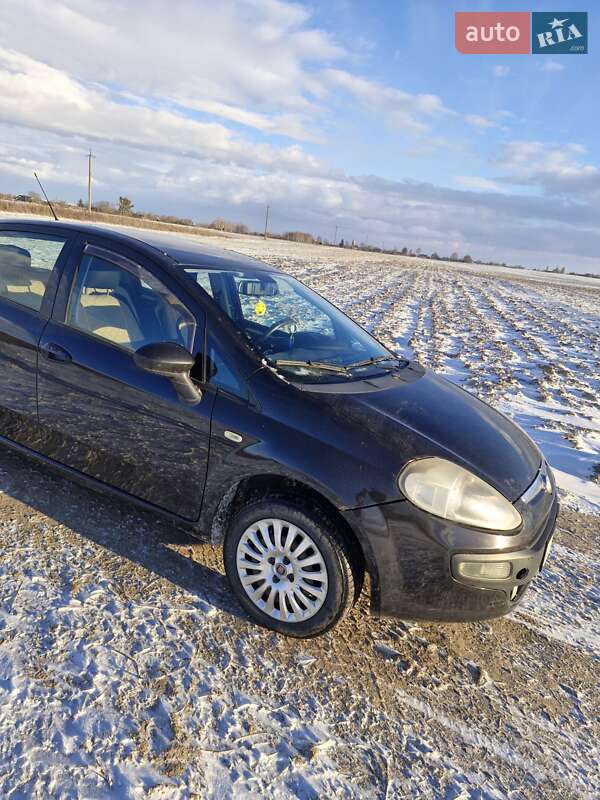 Хэтчбек Fiat Punto 2012 в Луцке фото 4 Хэтчбек Fiat Punto 2012 в Луцке