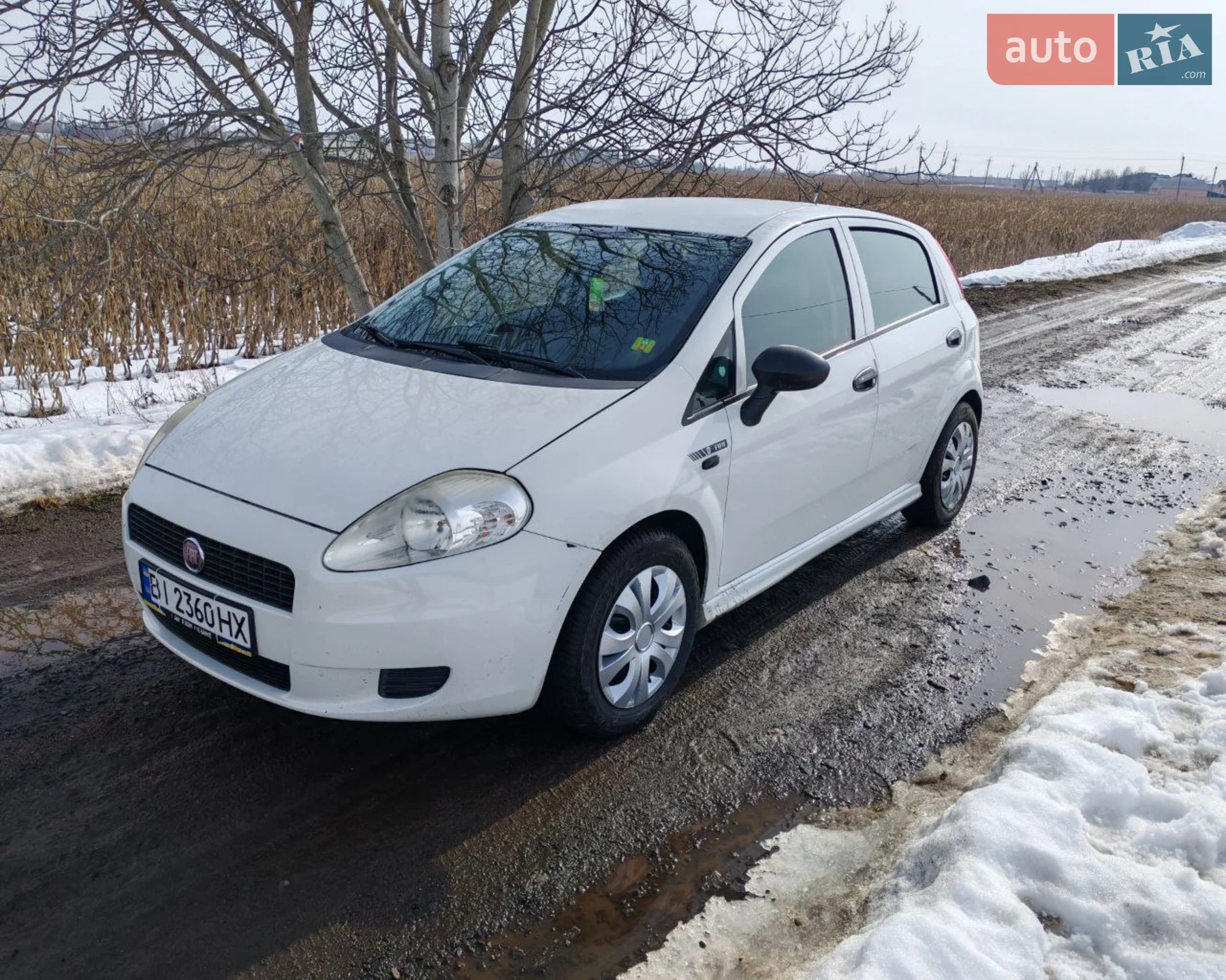 2010 Fiat Punto - мініатюра 3
